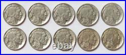 (10) United States Buffalo Nickel About Unc Coin Dealer Lot